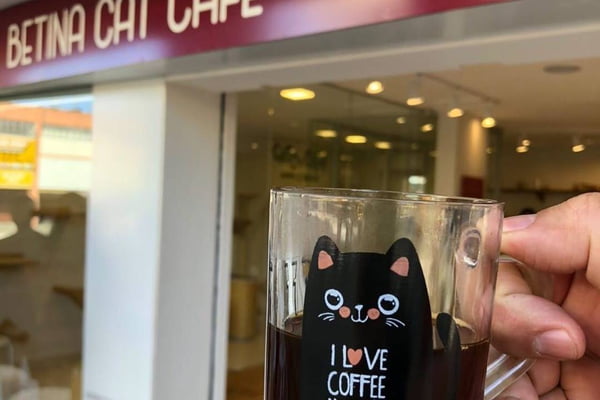 Betina Cat Café