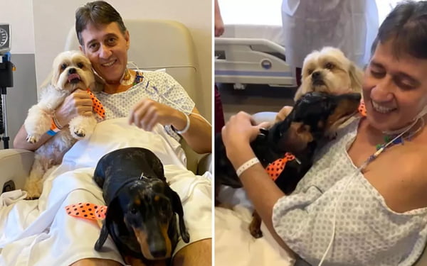 Paciente se emociona ao receber visita em hospital de cães que não via há dois meses e que moram a mais de 1 mil km de Goiânia