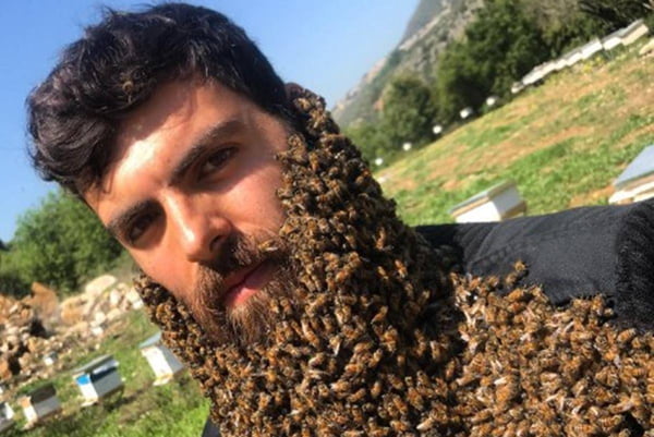 apicultor-abelhas