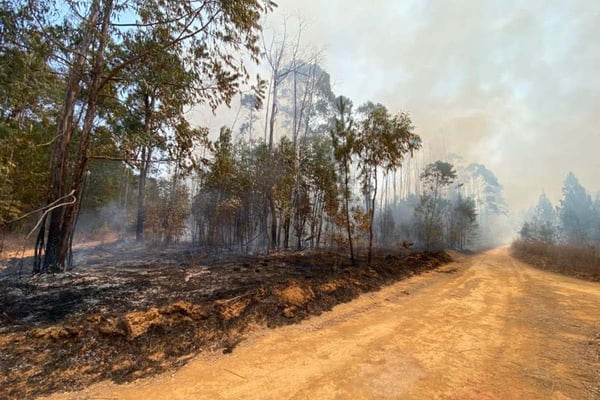 Combate a incêndio no Parque Nacional de Brasília é retomado nesta 6ª