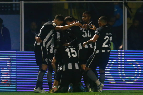 Botafogo vence Avaí de virada e segue longe da zona de rebaixamento