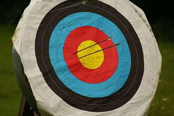 Foto colorida do alvo de arco e flecha com duas flachas cravadas na parte vermelha