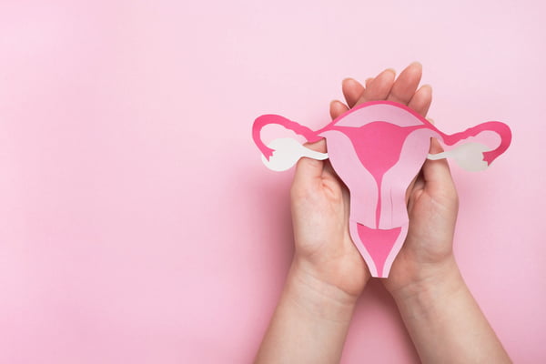 Foto de ovários, útero, sistema reprodutivo feminino feito em papel - Metrópoles - ovários policísticos