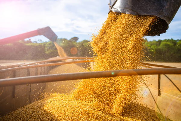 Imagem colorida de trator realizando colheita de grãos de soja - Metrópoles