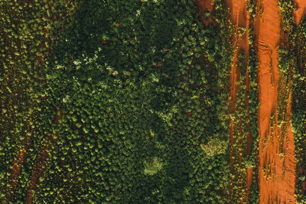 Governo quer força-tarefa para combater desmatamento no Cerrado