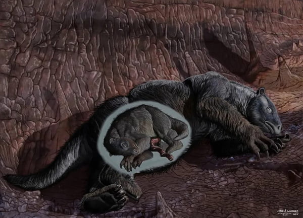fóssil de feto de preguiça gigante