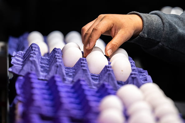 Imagem de uma mão retirando um ovo da embalagem com vários outros ovos