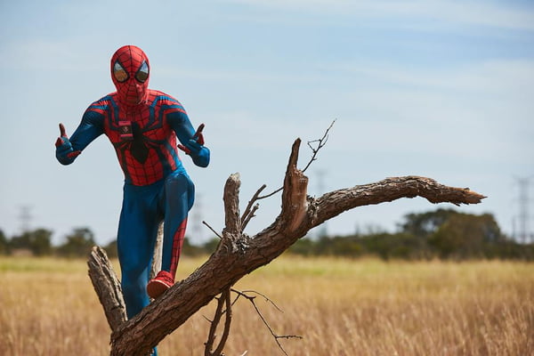 Na foto, um homem vestido de Homem-Aranha em cima de uma árvore - Metrópoles