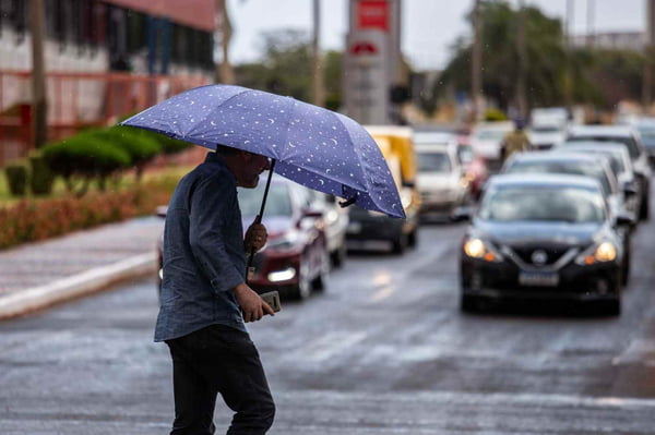 homem atravessando a rua com guarda-chuva - Metrópoles