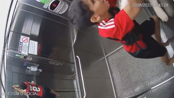 imagem colorida menino salva cachorra elevador