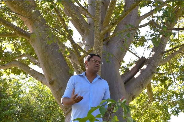 Professor de camisa social em frente à árvore da espécie baobá
