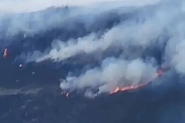 Foto aérea de incêndio florestal na Bahia - Metrópoles