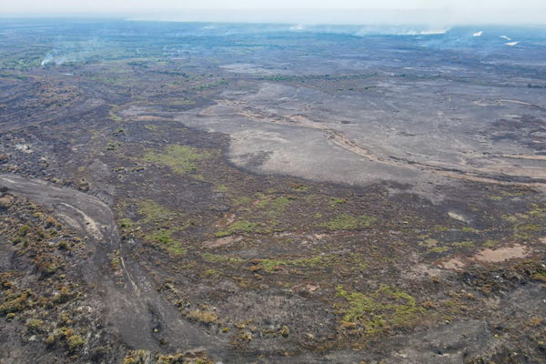 Foto colorida de área destruída pelo fogo no Pantanal - Metrópoles
