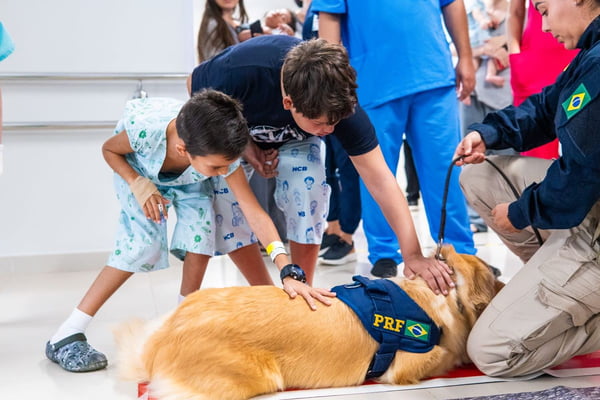 Fofura: cachorros da PRF visitam crianças com câncer em hospital no DF