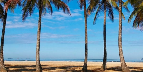 foto colorida da Praia do Gonzaga, em Santos - Metrópoles