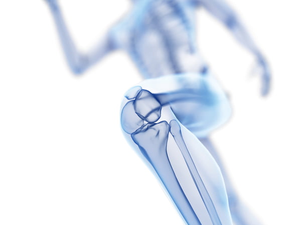 Ilustração de um corpo transparente em que aparecem os ossos - Metrópoles