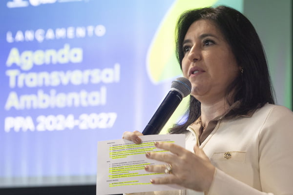 Ministras Simone Tebet lança relatório da Agenda Transversal Ambiental do Plano Plurianual 2024-2027 - Metrópoles