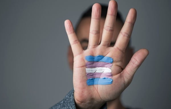 Imagem colorida da Bandeira trans