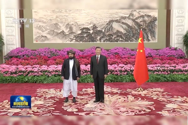 Imagem colorida mostra o presidente Xi Jinping ao lado do embaixador do Talibã - Metrópoles