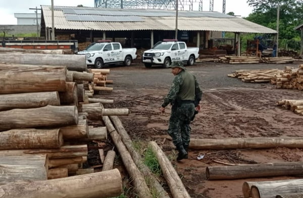 foto colorida de madeireira de Junqueirópolis autuada em mais de R$ 182 mil por irregularidades no estoque - Metrópoles
