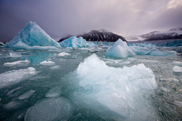 Foto colorida de Icebergs flutuando perto da face da geleira Sveabreen em Nordfjorden