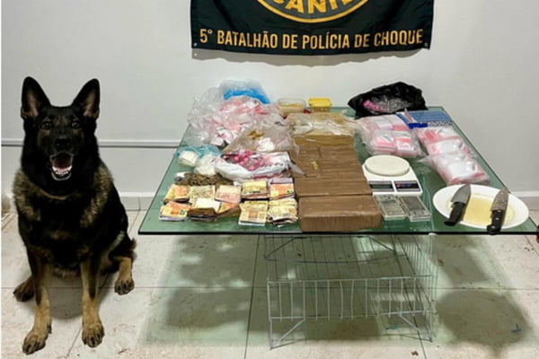 Foto colorida de cão farejador da PM ao lado de drogas e dinheiro sobre mesa de vidro - Metrópoles