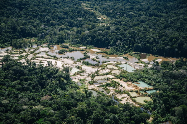 Imagens de satélite mostram o garimpo ilegal já devastou mais de 26 mil hectares dos territórios demarcadados