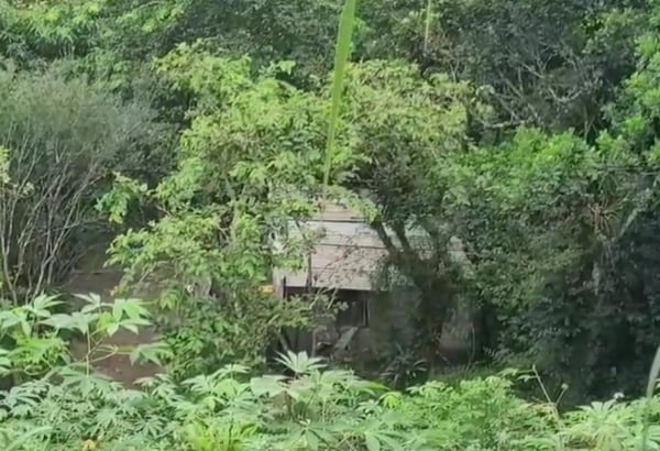 Imagem mostra cabana em meio à mata encontrada pela PM - Metrópoles