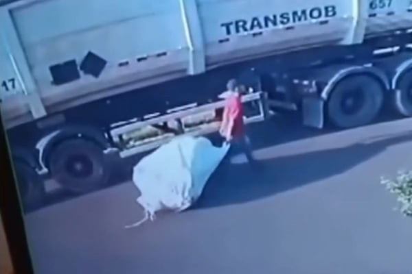 Print de vídeo mostra homem vestindo camiseta vermelha. Ele arrasta, com as duas mãos, um grande saco branco. Ao, fundo, há um caminhão estacionado.