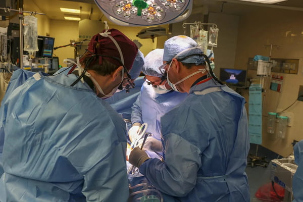 Cirurgiões realizando o transplante