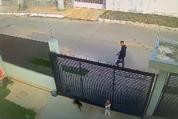 Homem caminha por rua e observa cães em casa