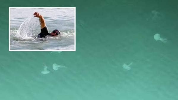 imagem colorida nadador atacado aguas-vidas fortaleza