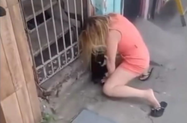 Vídeo mulher sufoca gata