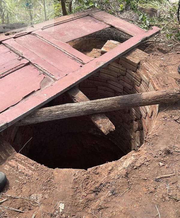 foto colorida de Polícia Ambiental e bombeiros resgatando vaca que caiu em poço em Presidente Prudente (SP) - Metrópoles