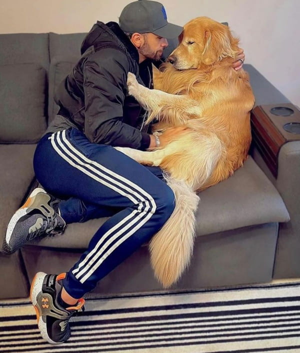 Homem abraça cachorro no sofá