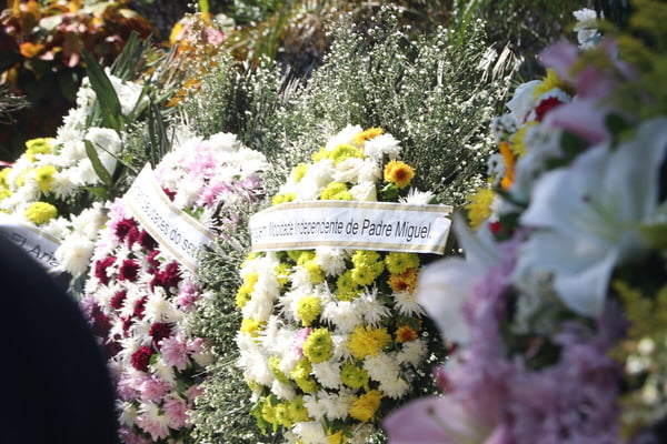 Coroas de flores enviadas para o velório de Anderson Leonardo - Metrópoles