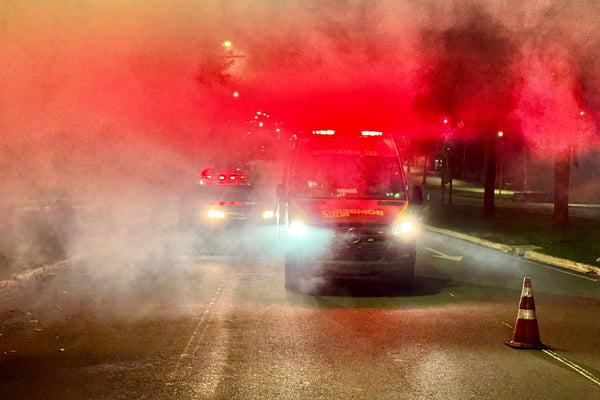 imagem colorida filhote resgatado em incêndio goiania