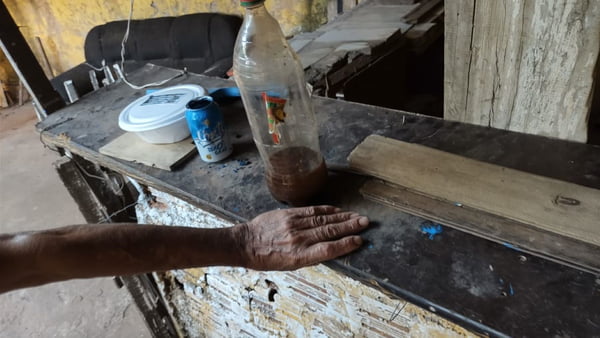 foto colorida de marcas de veneno azul em quintal: produto químico acabou provocando morte de cão em Martinópolis (SP) - Metrópoles