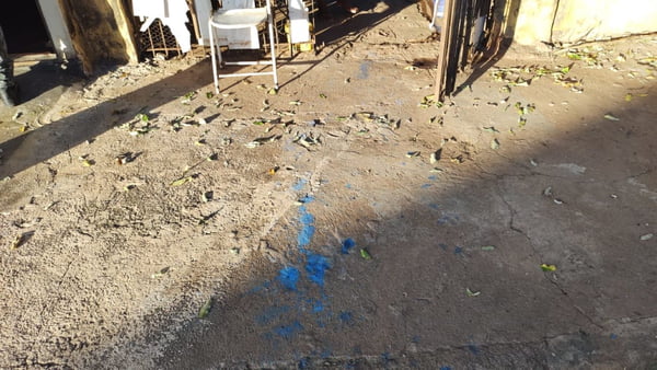 foto colorida de marcas de veneno azul em quintal: produto químico acabou provocando morte de cão em Martinópolis (SP) - Metrópoles