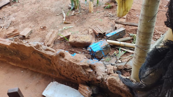 foto colorida de marcas de veneno azul em quintal: produto químico acabou provocando morte de cão em Martinópolis (SP) - Metrópoles