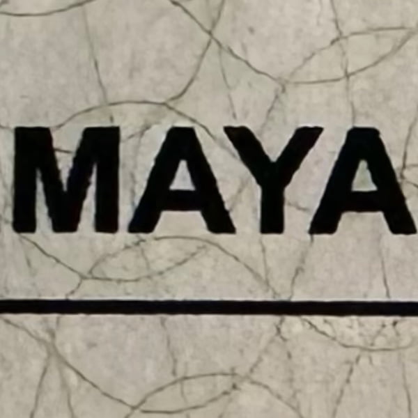 Documento de Maya Massafera após processo de feminilização - Metrópoles