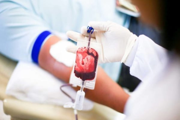 Doação de sangue sangue doado