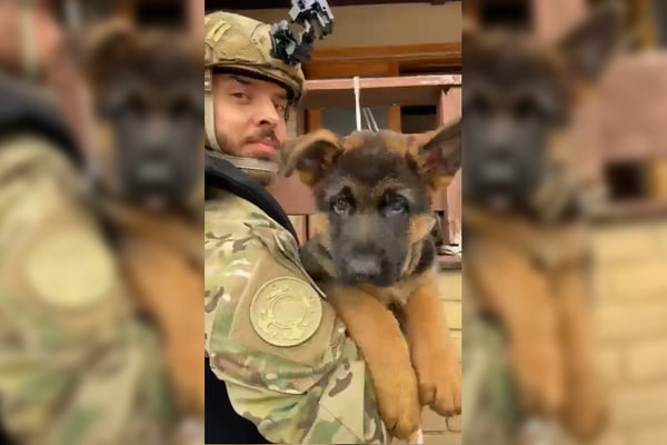 PF faz força-tarefa para resgatar idosos e animais no RS