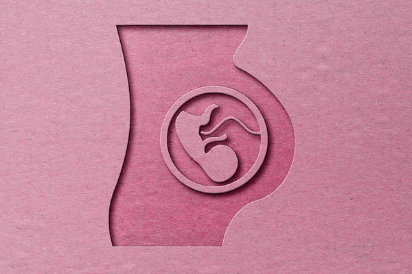 Ilustração com uma barriga de grávida com um feto sob fundo rosa - Metrópoles
