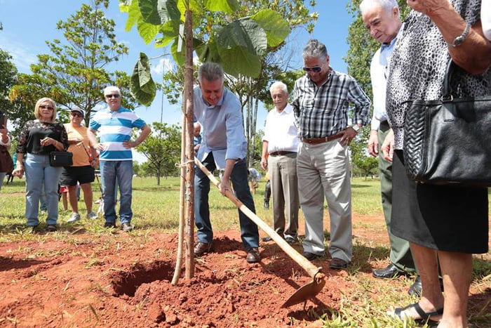 Rollemberg planta árvores no Parque da Cidade para homenagear pioneiros