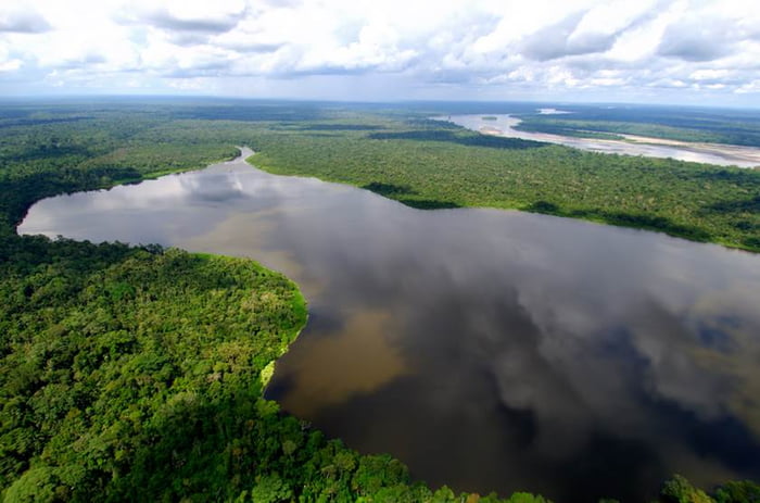 Dinamarca anuncia a doação de R$ 110 milhões para o Fundo Amazônia