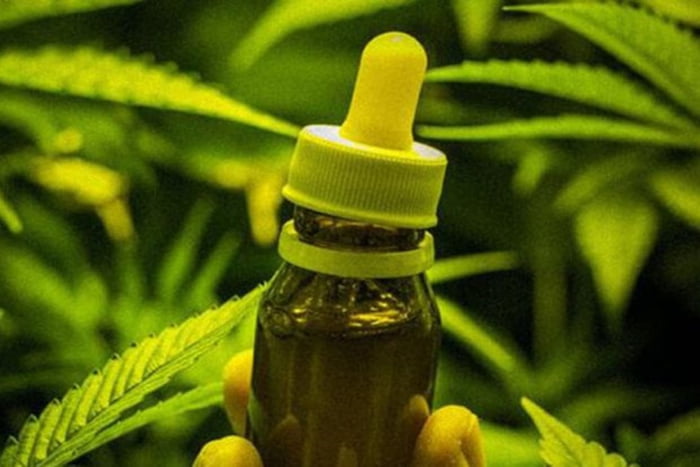Imagem mostra um pote com tampa conta gotas, e folhas de cannabis em segundo plano - Metrópoles