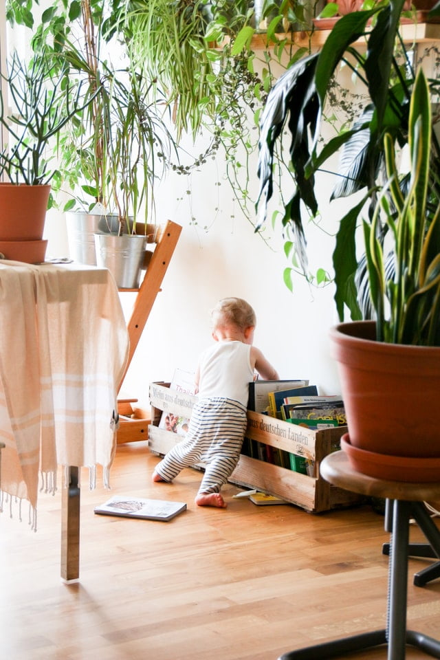 bebê em casa com plantas