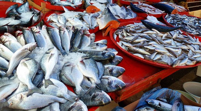 Peixes mortos em bacias de gelo Peixes para venda - consmo por pessoas com doença renal
