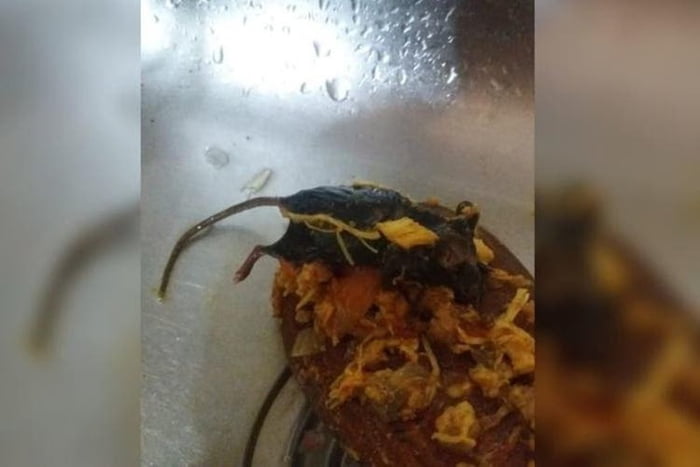 Rato morto é encontrado dentro de um molho de tomate em SC